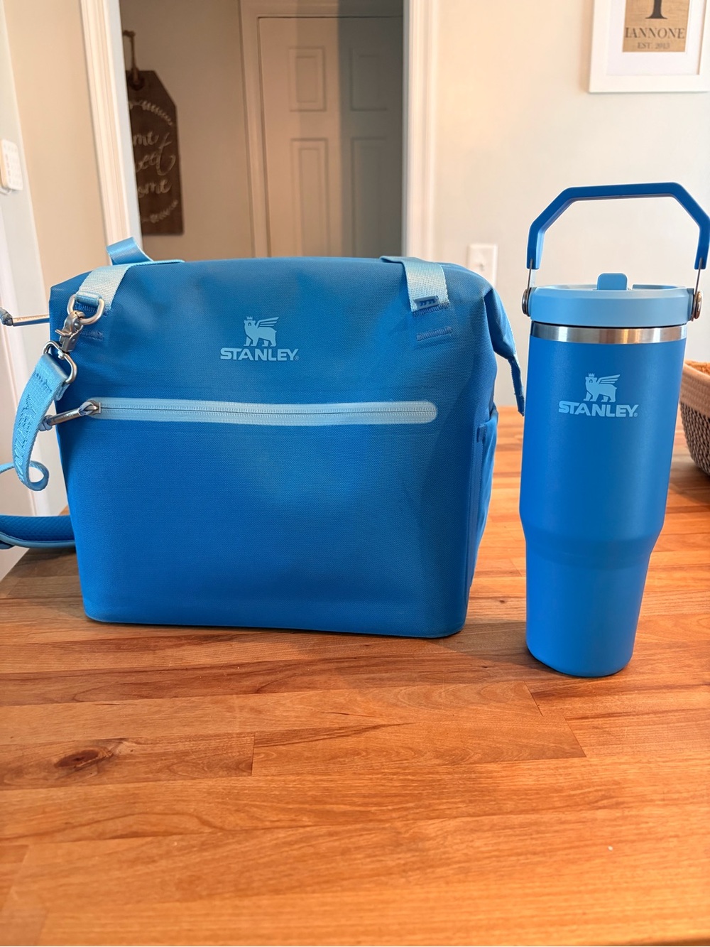Stanley All Day Julienne Soft Cooler Bag and matching 30oz Stanley tumbler.